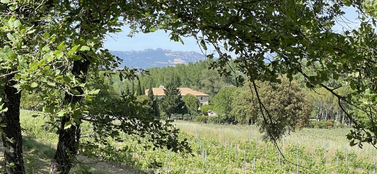 Chateau Talaud Loriol-du-Comtat Εξωτερικό φωτογραφία