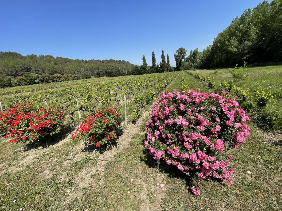 Chateau Talaud Loriol-du-Comtat Εξωτερικό φωτογραφία
