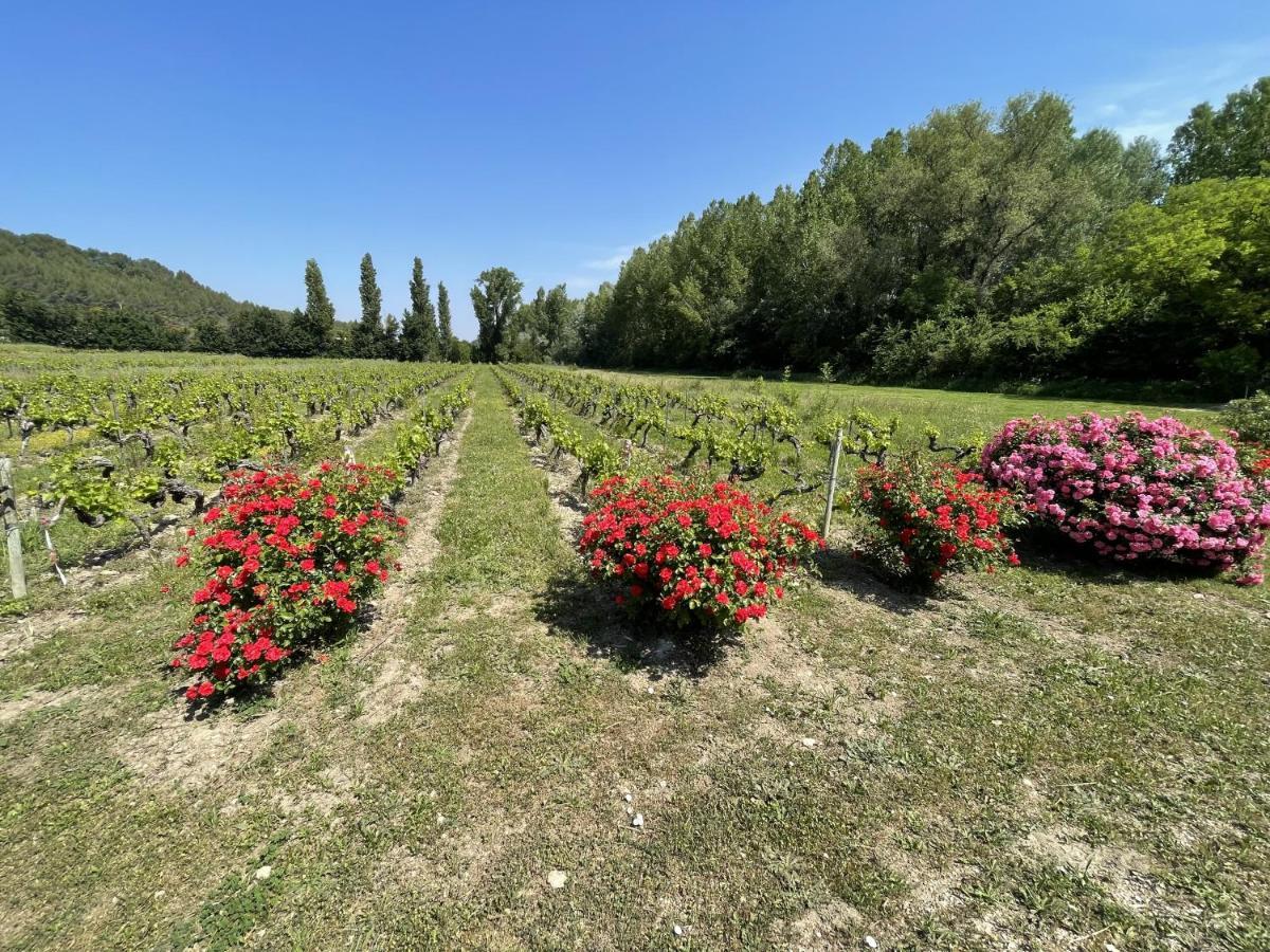 Chateau Talaud Loriol-du-Comtat Εξωτερικό φωτογραφία